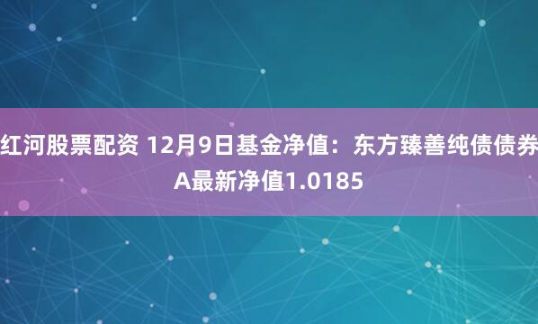 红河股票配资 12月9日基金净值：东方臻善纯债债券A最新净值1.0185