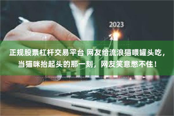 正规股票杠杆交易平台 网友给流浪猫喂罐头吃，当猫咪抬起头的那一刻，网友笑意憋不住！