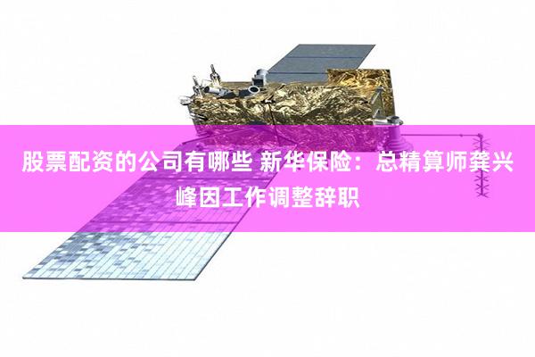 股票配资的公司有哪些 新华保险：总精算师龚兴峰因工作调整辞职