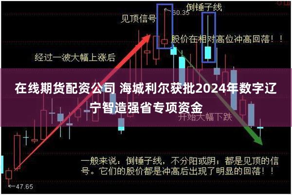 在线期货配资公司 海城利尔获批2024年数字辽宁智造强省专项资金