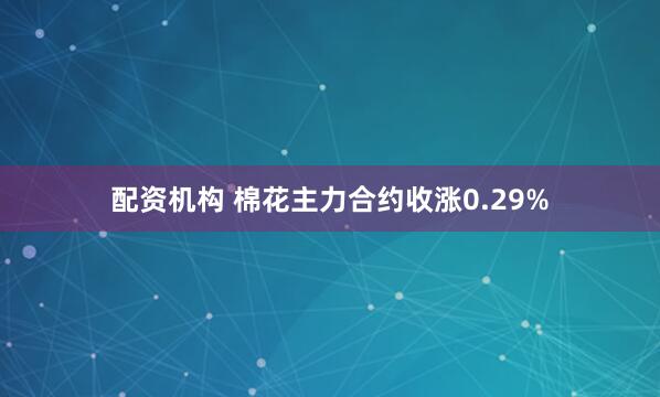 配资机构 棉花主力合约收涨0.29%