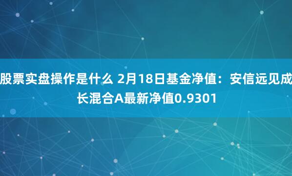 股票实盘操作是什么 2月18日基金净值：安信远见成长混合A最新净值0.9301