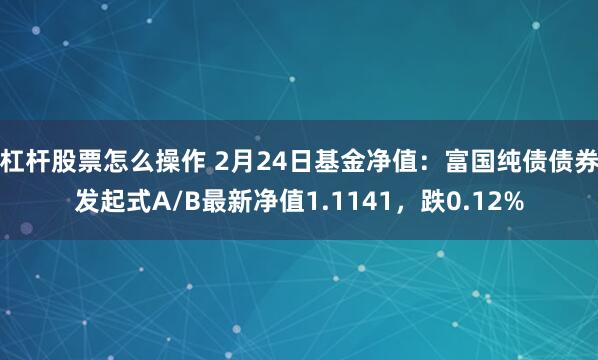 杠杆股票怎么操作 2月24日基金净值：富国纯债债券发起式A/B最新净值1.1141，跌0.12%