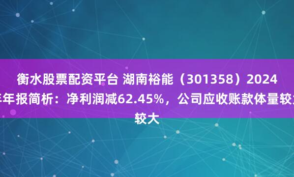 衡水股票配资平台 湖南裕能（301358）2024年年报简析：净利润减62.45%，公司应收账款体量较大