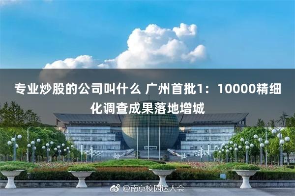 专业炒股的公司叫什么 广州首批1：10000精细化调查成果落地增城