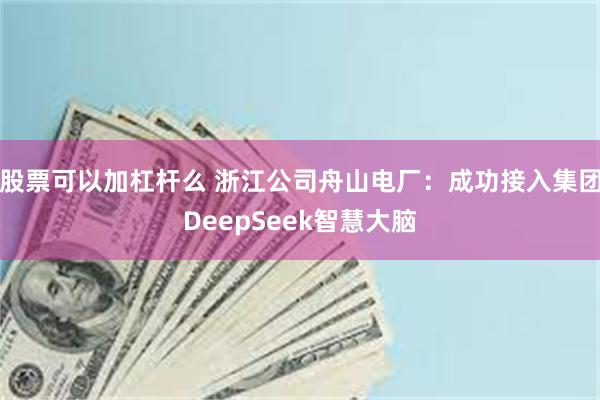 股票可以加杠杆么 浙江公司舟山电厂：成功接入集团DeepSeek智慧大脑