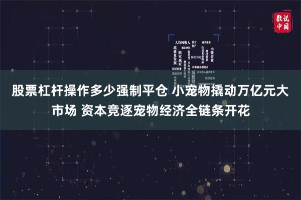 股票杠杆操作多少强制平仓 小宠物撬动万亿元大市场 资本竞逐宠物经济全链条开花