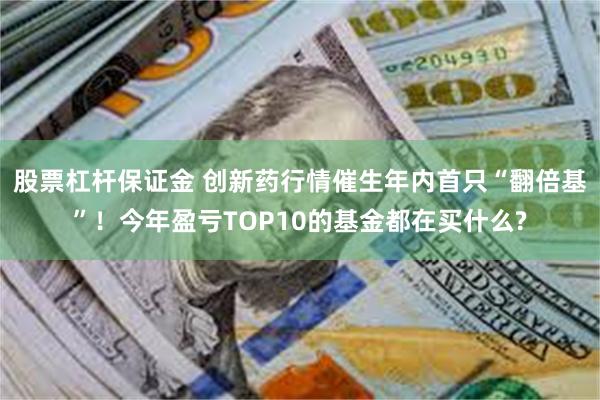 股票杠杆保证金 创新药行情催生年内首只“翻倍基”!今年盈亏TOP10的基金都在买什么?