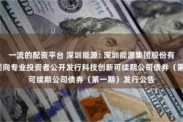 一流的配资平台 深圳能源: 深圳能源集团股份有限公司2025年面向专业投资者公开发行科技创新可续期公司债券（第一期）发行公告