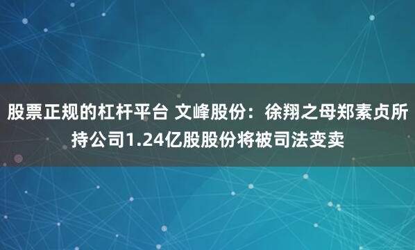 股票正规的杠杆平台 文峰股份:徐翔之母郑素贞所持公司1.24亿股股份将被司法变卖