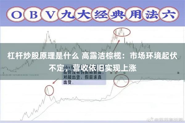 杠杆炒股原理是什么 高露洁棕榄：市场环境起伏不定，营收依旧实现上涨