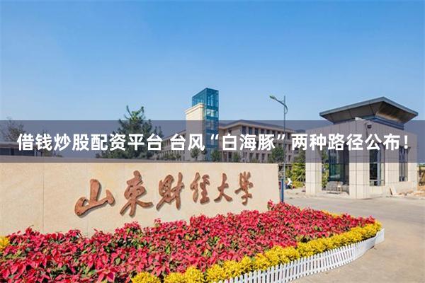 借钱炒股配资平台 台风“白海豚”两种路径公布！